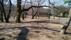 ポイント練習後にクールダウンをする3つの意味
