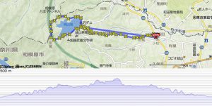 [城山湖トレイル]短くて濃い9kmの道のり