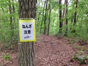 [上田バーティカル]”走れる”ってこんなにツライんだ（後編）