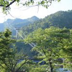 【流行トレラン】山を走る行為そのものが自然に対する罪である