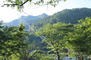 【流行トレラン】山を走る行為そのものが自然に対する罪である