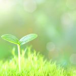 どうしても調子が上がらない時には