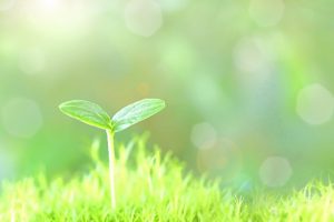 どうしても調子が上がらない時には