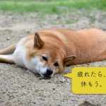 ランナーに完全休養は必要か?
