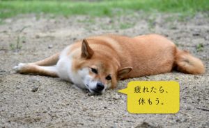 ランナーに完全休養は必要か？