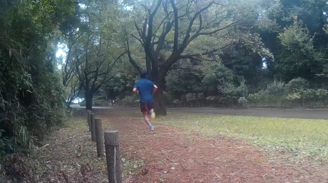 小山内裏公園のクロスカントリーコースをご紹介