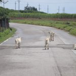 2018年9月(278km/完休11日)