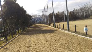 [さがみはらクロカン部]ポイント練習会は1000m×15本インターバル