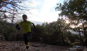 2019年1月(302km/完休13日)