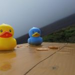 2019年9月(276km/完休13日/9,210mD+)