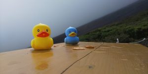 2019年9月(276km/完休13日/9,210mD+)