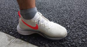 2019年10月（226km/完休13日/1,750mD+）