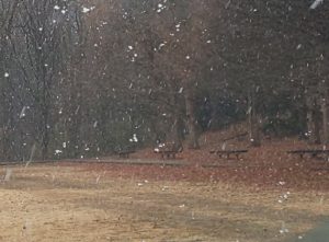 2020年1月(288km/完休11日/1,820mD+)