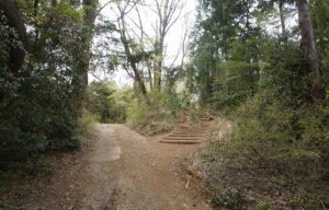 2020年4月（220km/完休13日/3,530mD+）