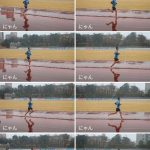 冬の冷雨でポイント練習。動かない身体。それでも走るのは何故?